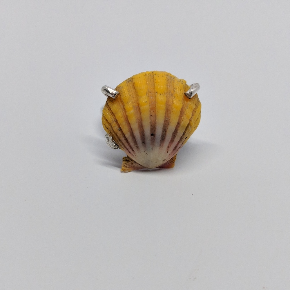 Sterling Silver Sunrise Shell Ring, Size 8 Silver